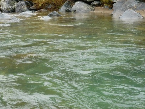 揖保川鮎釣りの写真